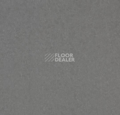 Линолеум Forbo De Luxe 2782-3112 mid neutral grey фото 1 | FLOORDEALER